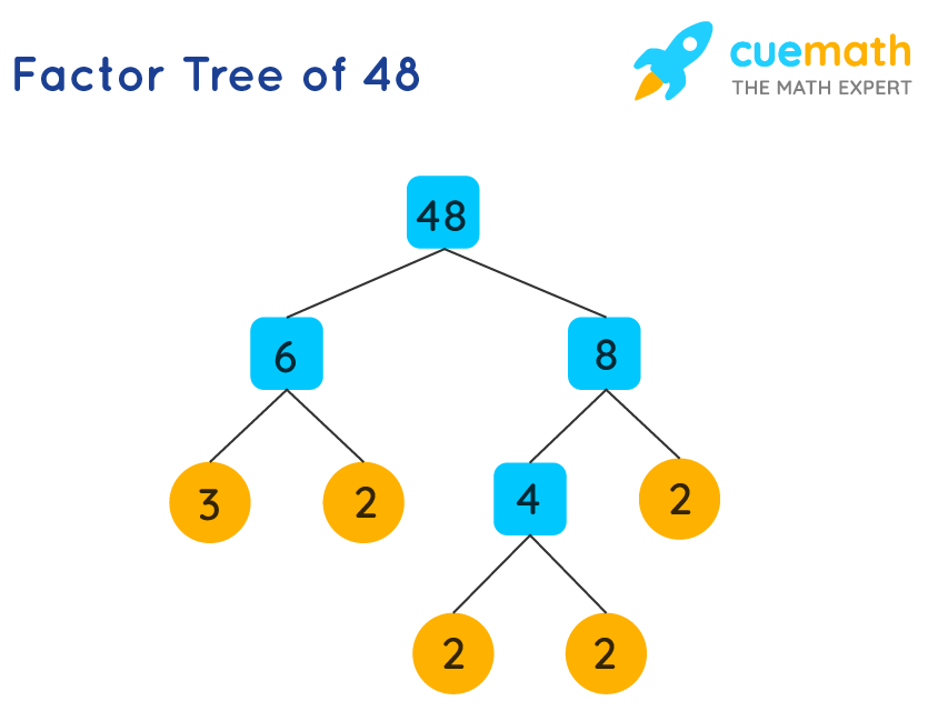 prime factors for 48