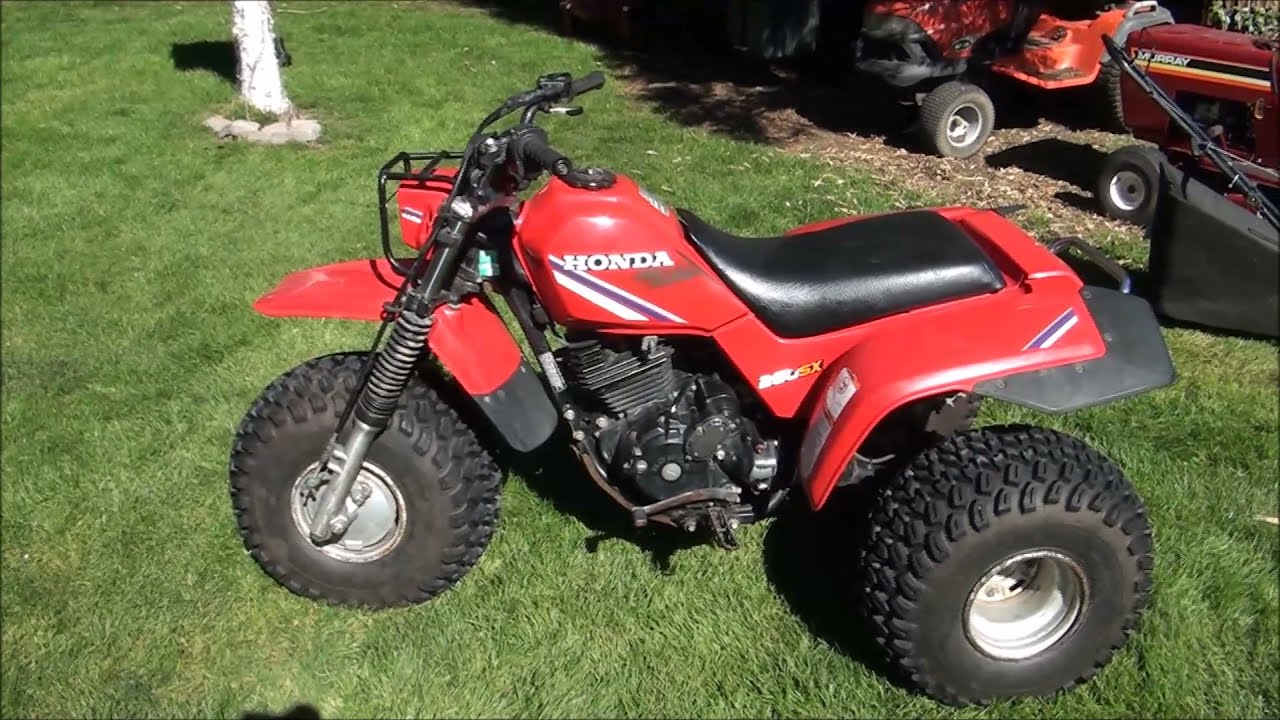 atc 250sx