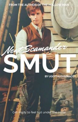 newt scamander x reader lemon