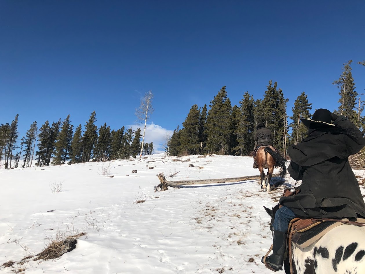 horseback riding bragg creek