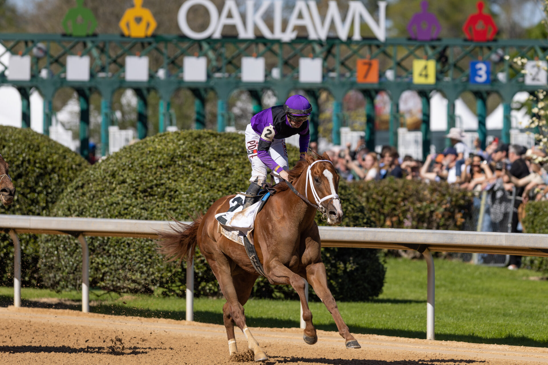 oaklawn park replays