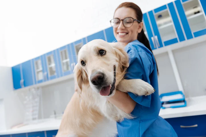 animal care technician jobs