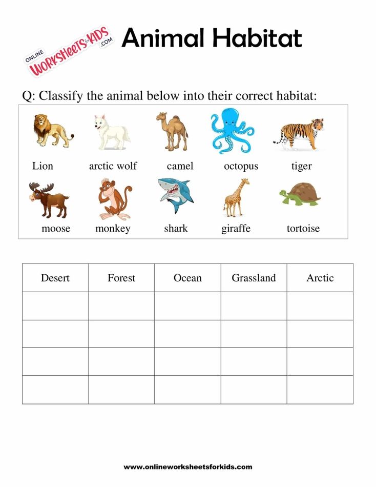 habitat animals worksheet