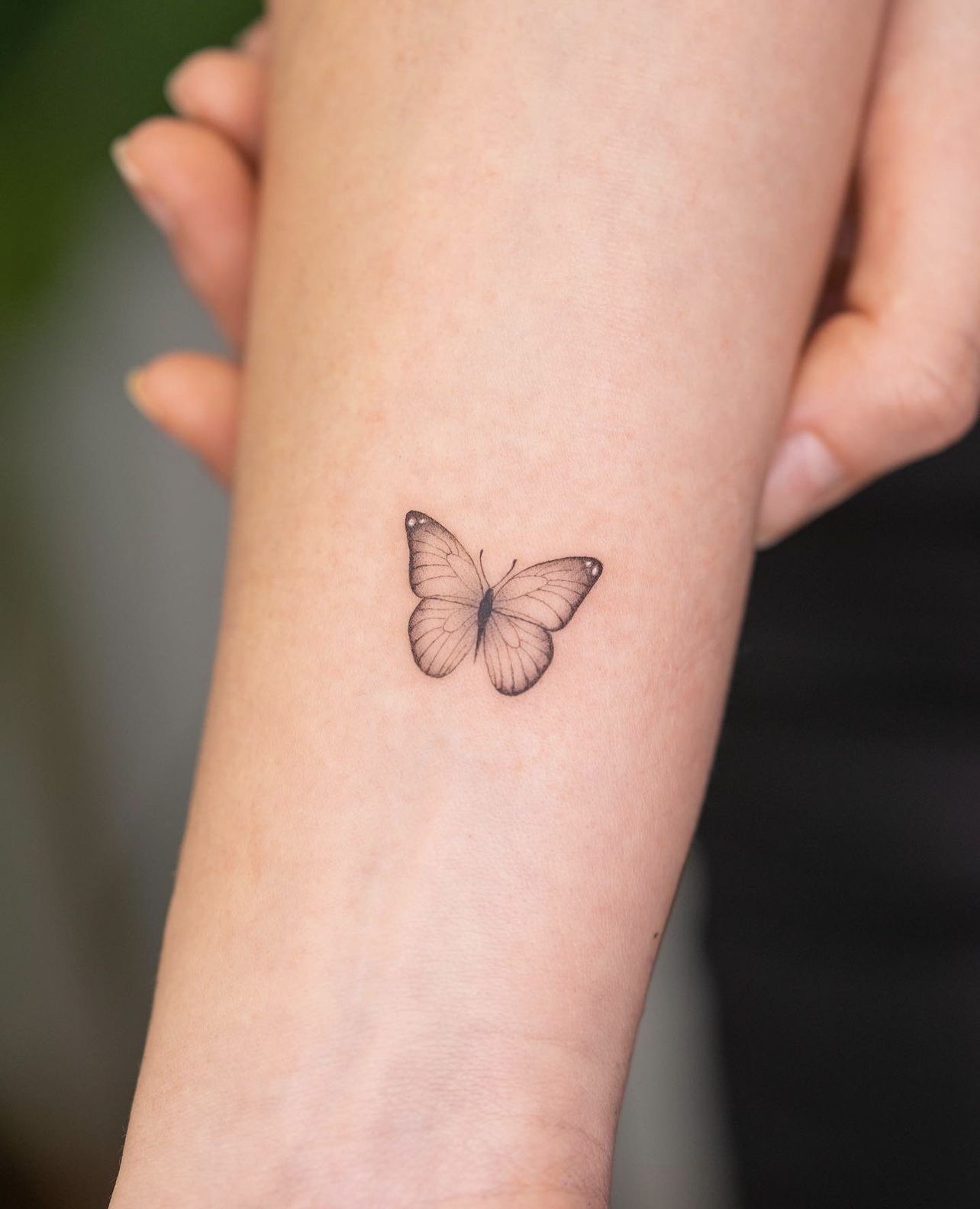 tatuaje mariposa brazo mujer
