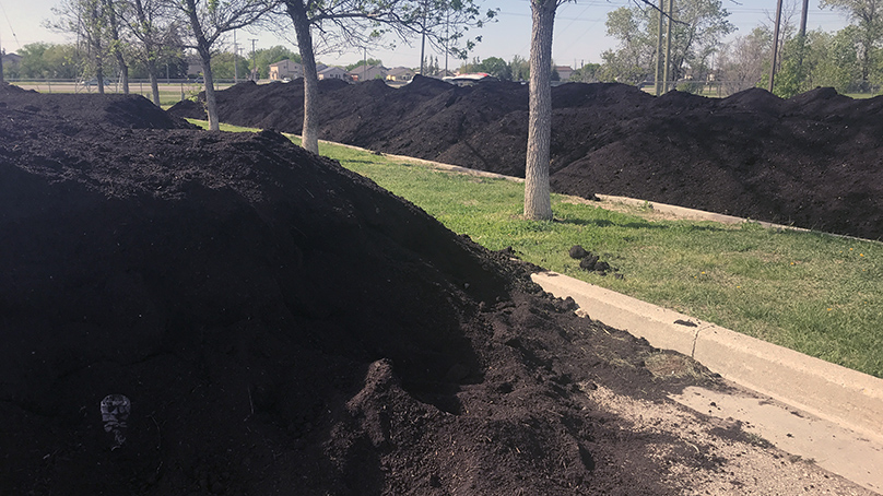 free compost winnipeg 2023