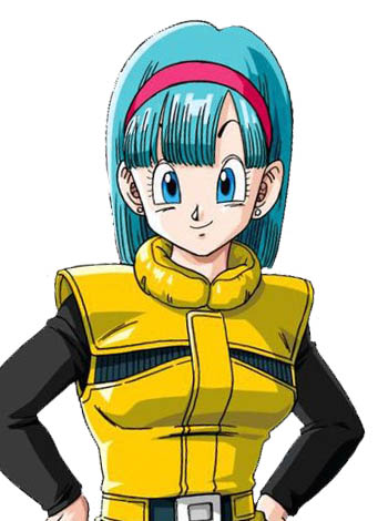 bulma briefs