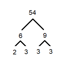 prime factors 54