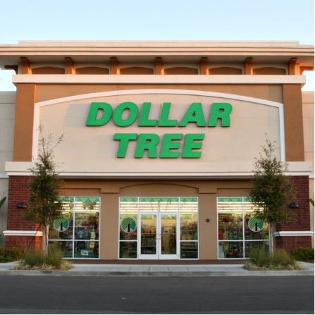 dollar tree store