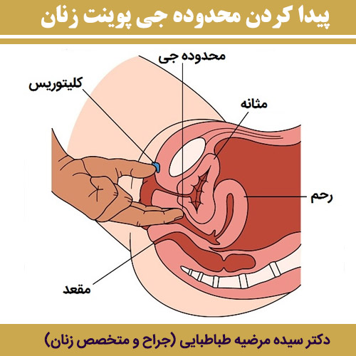 ارضا کردن زن