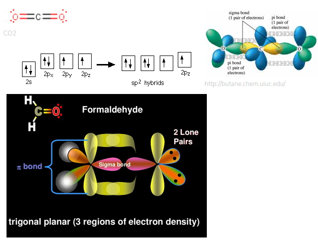 hybridization of carbon in co2