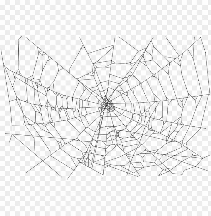 spider web png