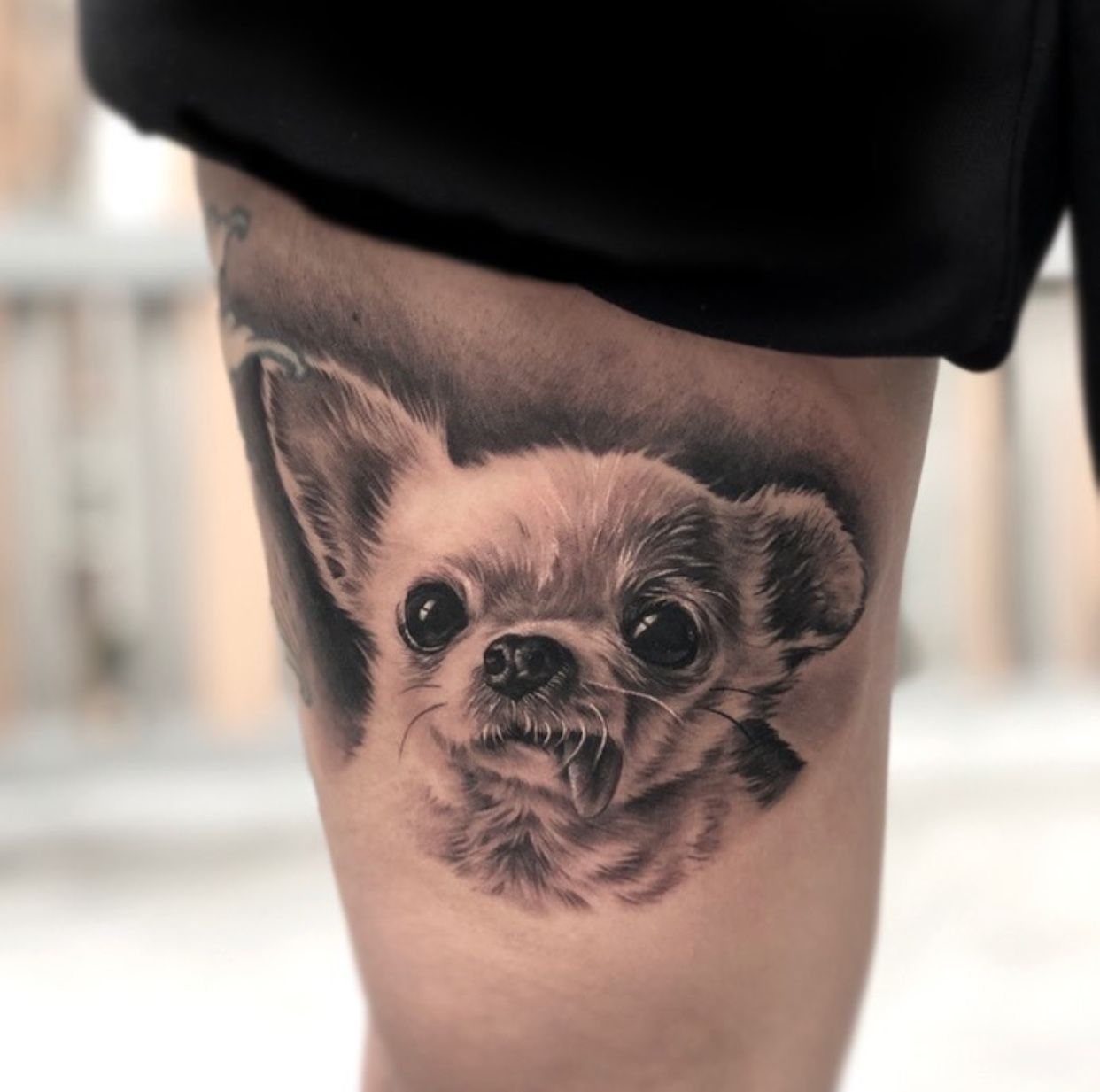 chihuahua dog tattoo