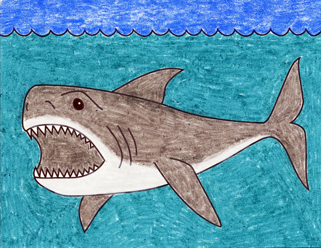 draw megalodon