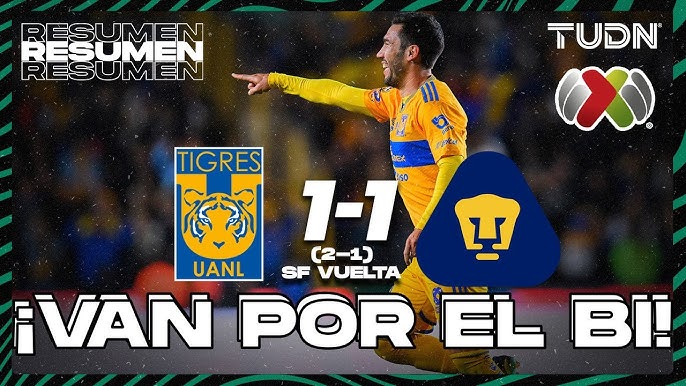 resumen de tigres pumas