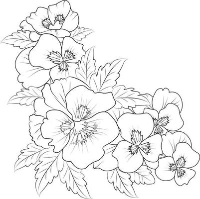 pictures of flowers drawing