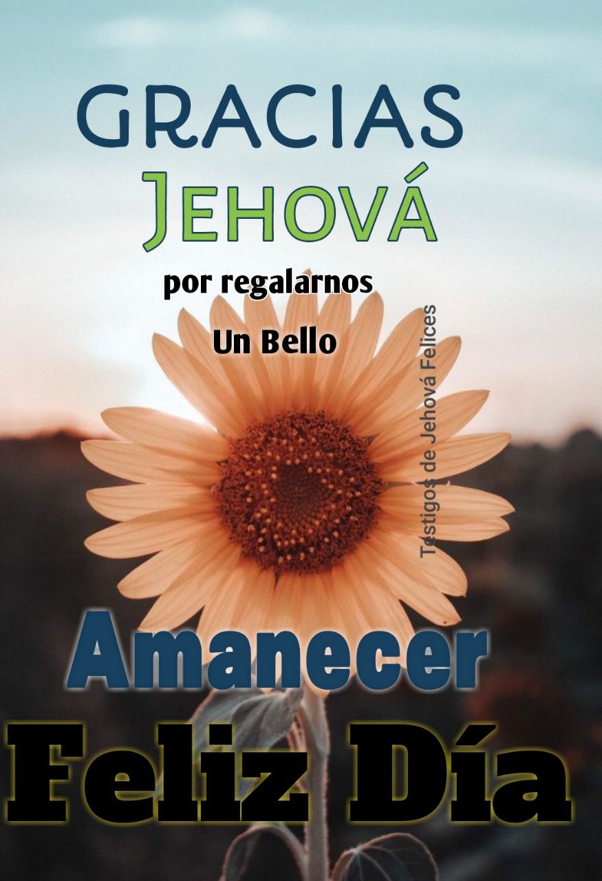 imagenes de gracias jehova