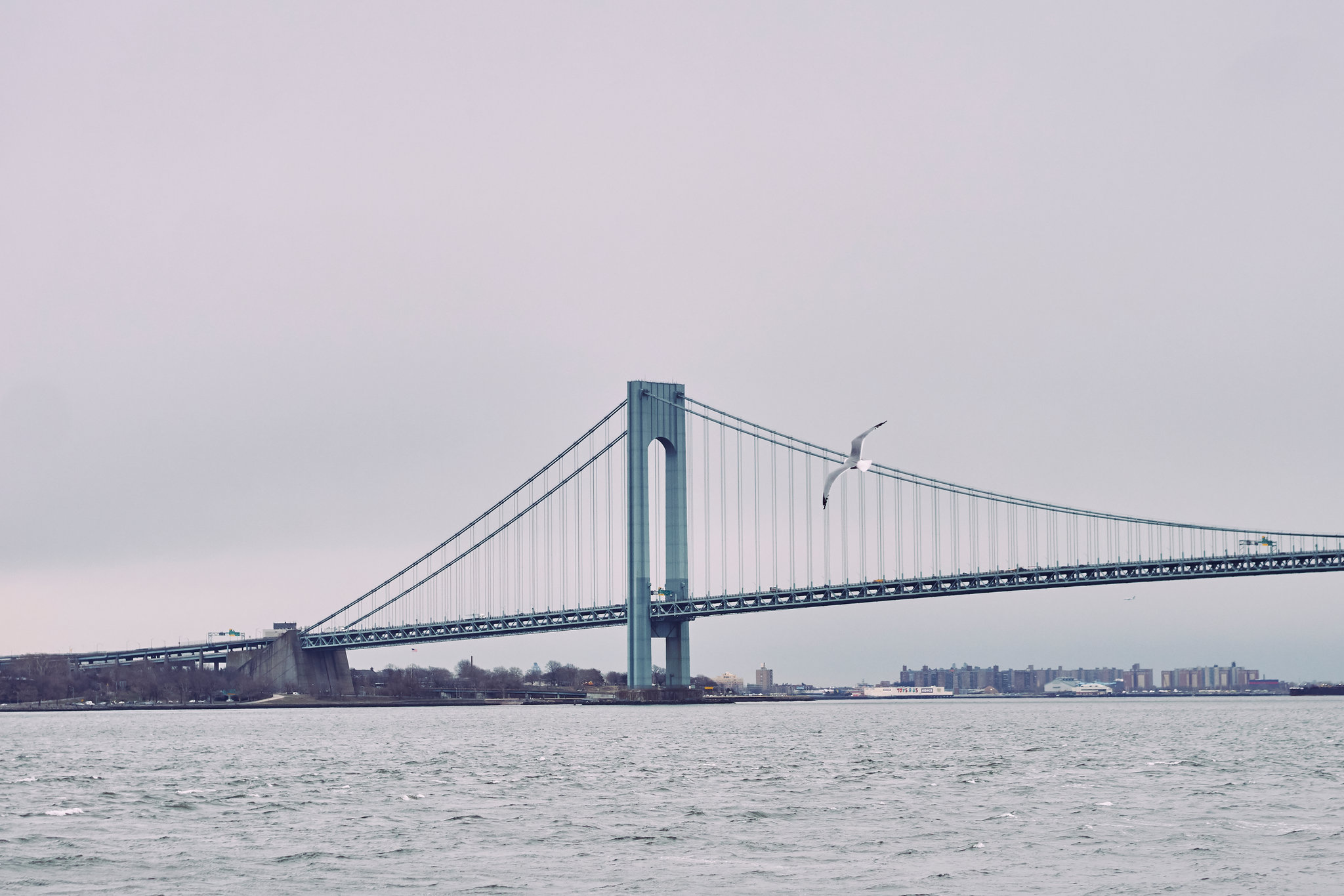 verrazano bridge fee