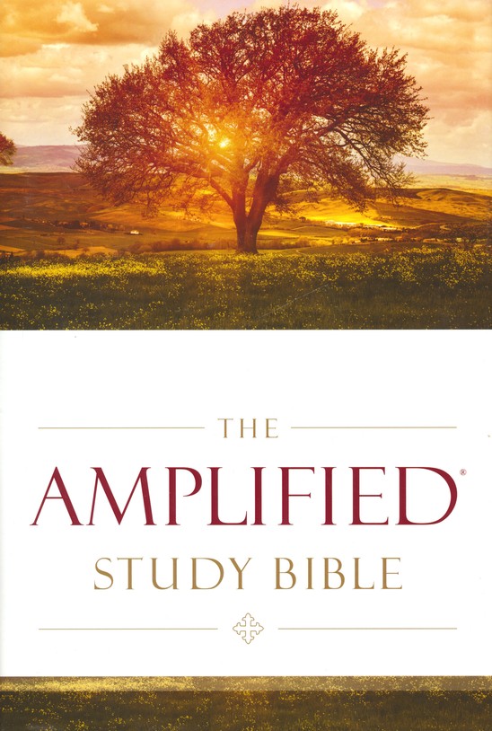 amp bible