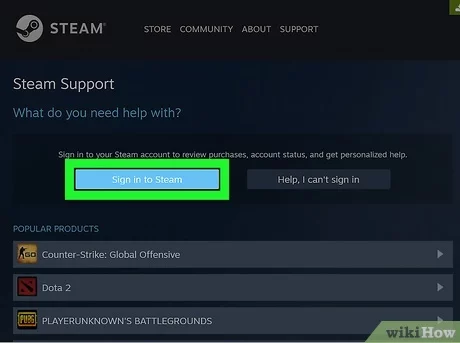 steam support