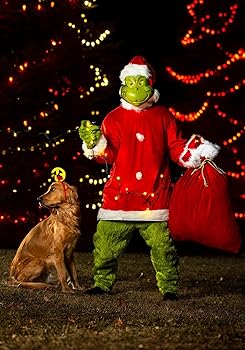 costumes of the grinch