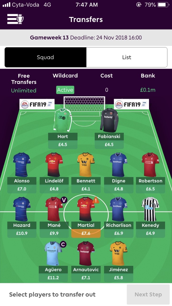 fpl wildcard explained