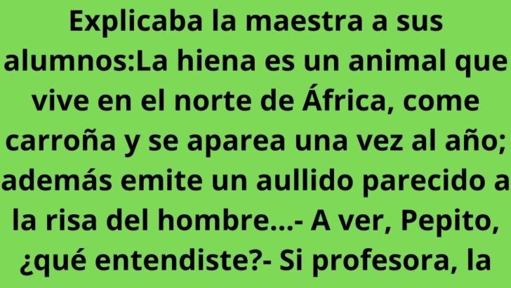 videos de chistes graciosos para adultos