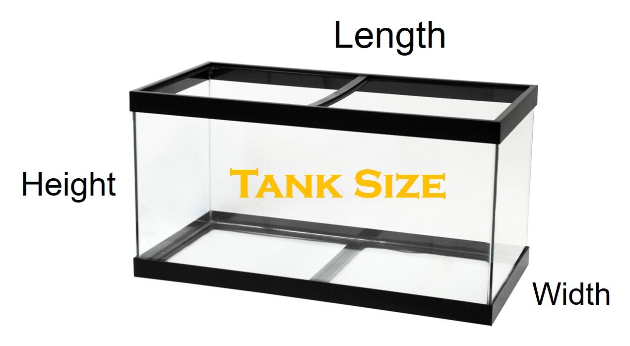 dimensions of 50 gallon fish tank