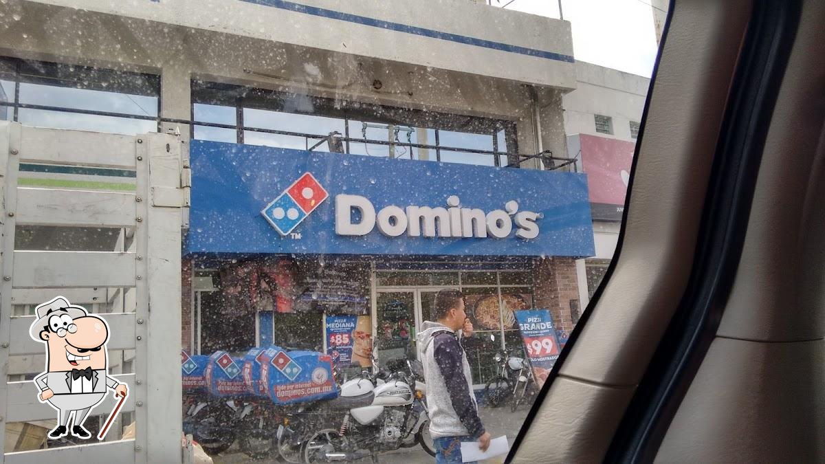 dominos pizza san francisco del rincón