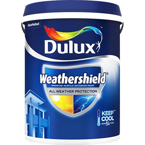 dulux pain