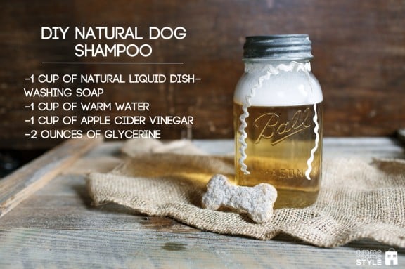 homemade puppy shampoo