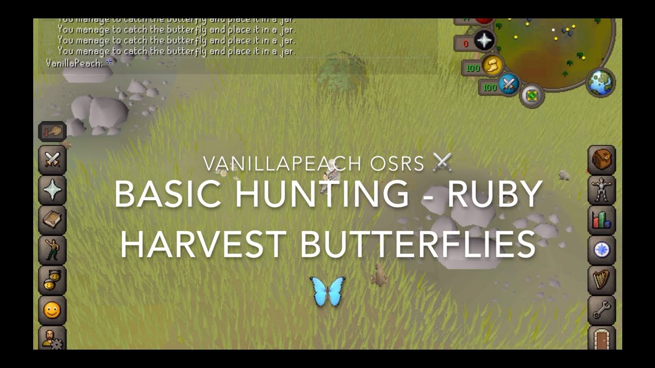 butterfly osrs