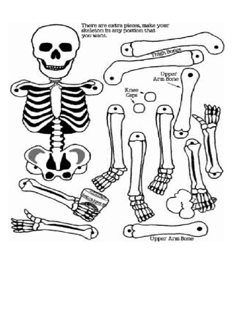 calaveras dibujos cuerpo completo