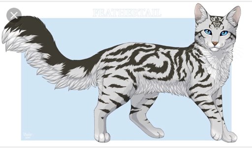 warrior cats feathertail