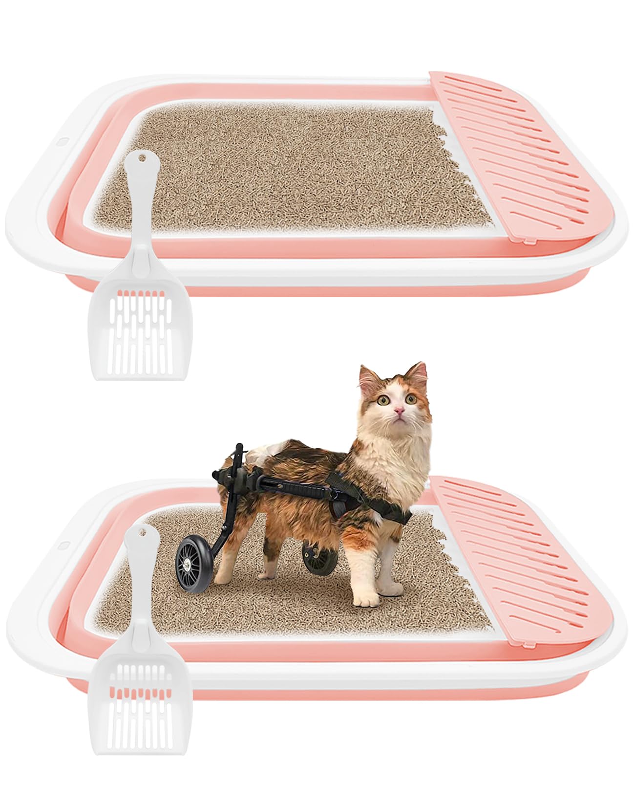 litter box for disabled cats