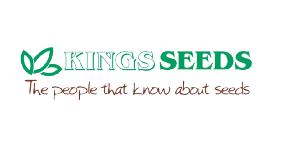 kings seeds