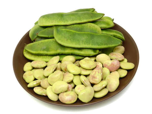 lima beans meaning in hindi