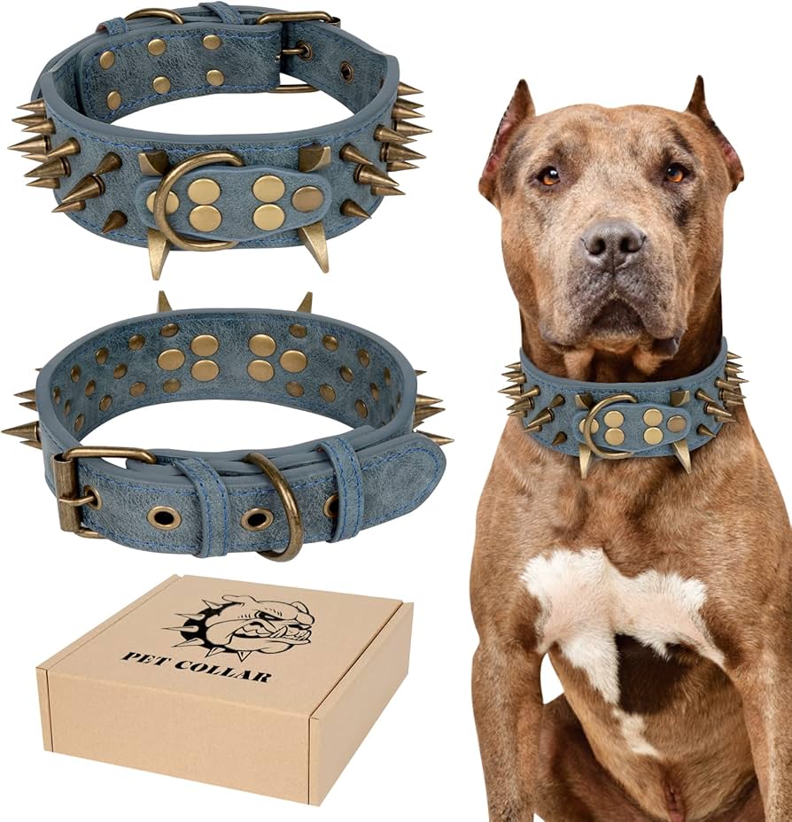 spiked collars for dogs amazon