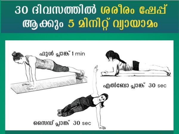 plank meaning in malayalam