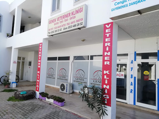 turgutreis veteriner klinikleri