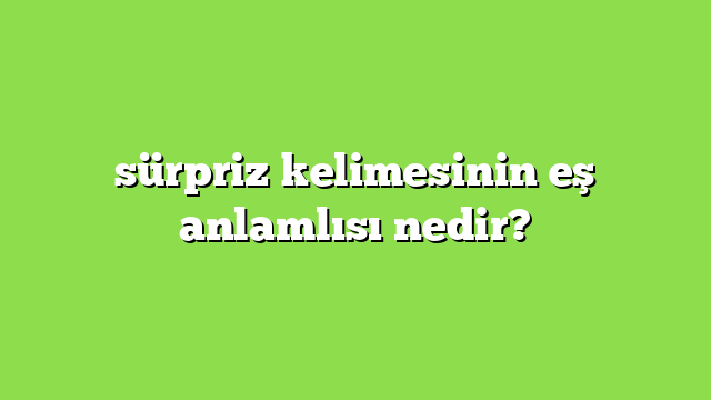 sürpriz kelime anlamı