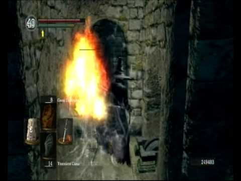 ds1 large ember