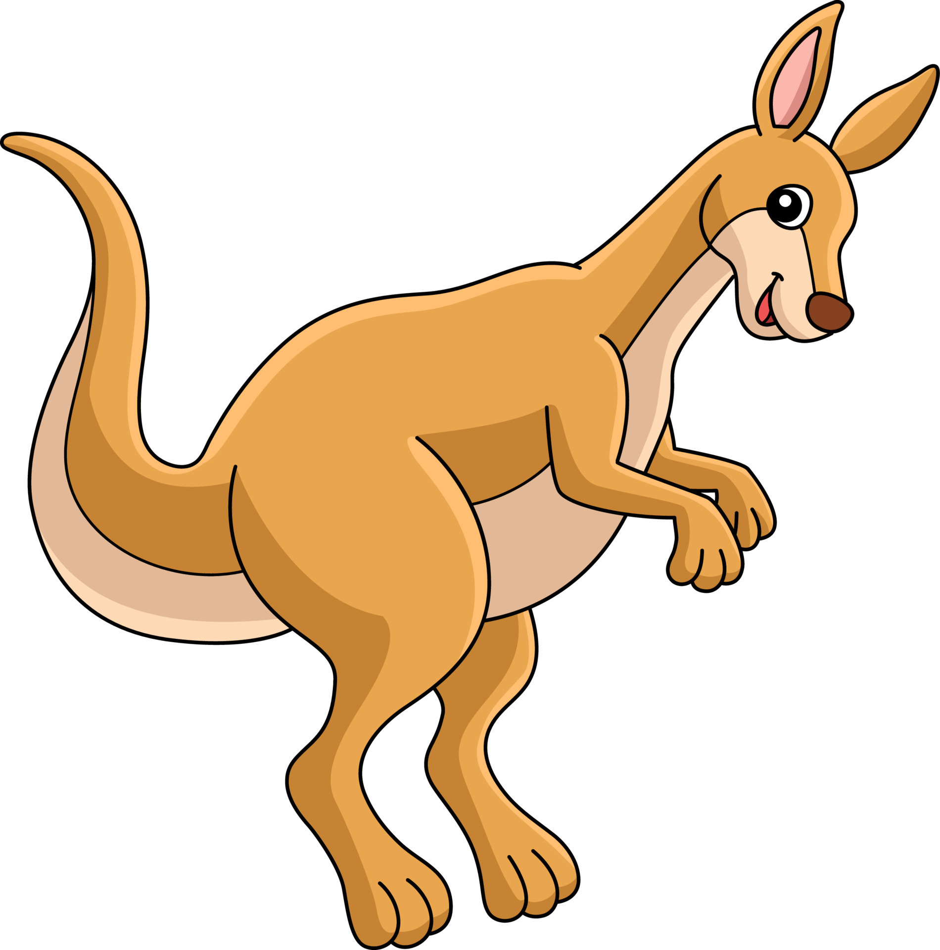 cartoon pictures of kangaroos