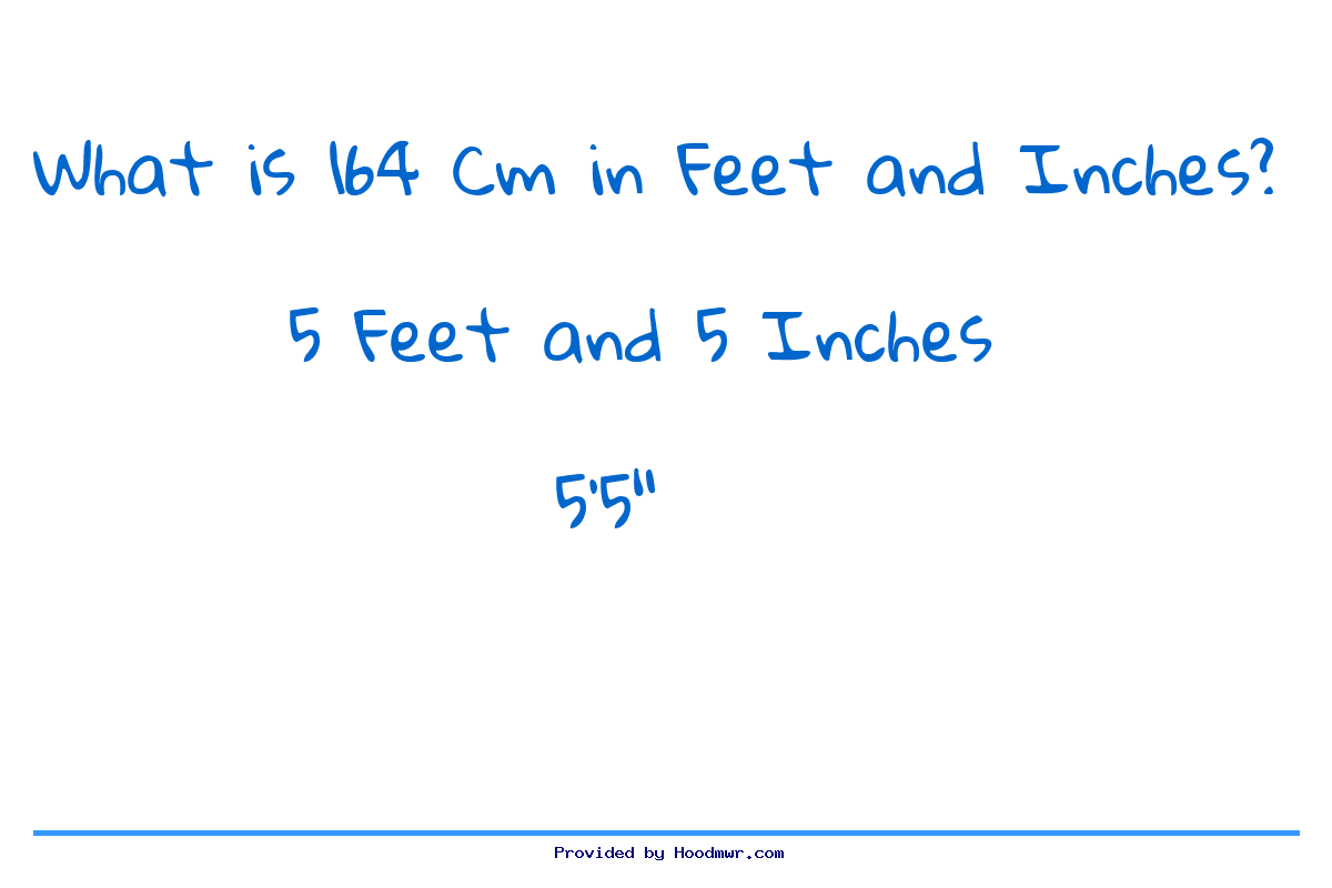 164 cm in feet