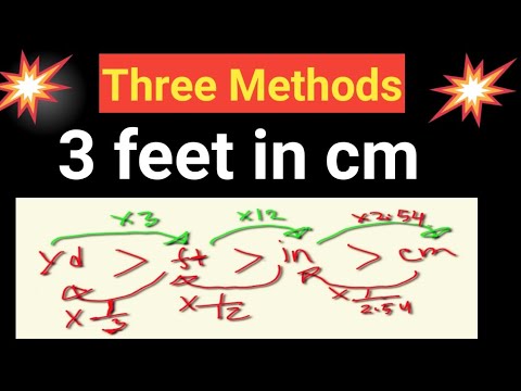 3 feet cm