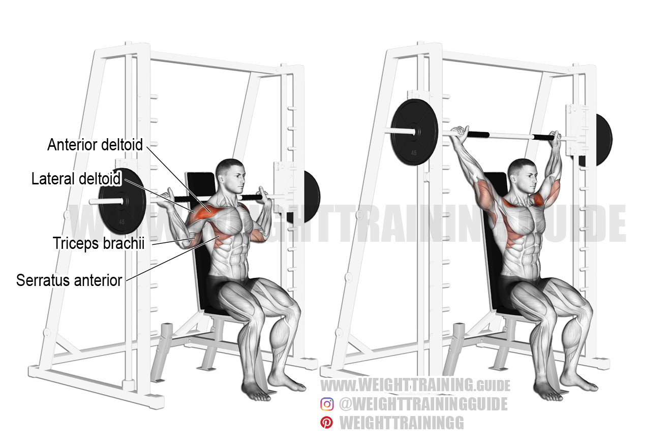 seated smith machine shoulder press