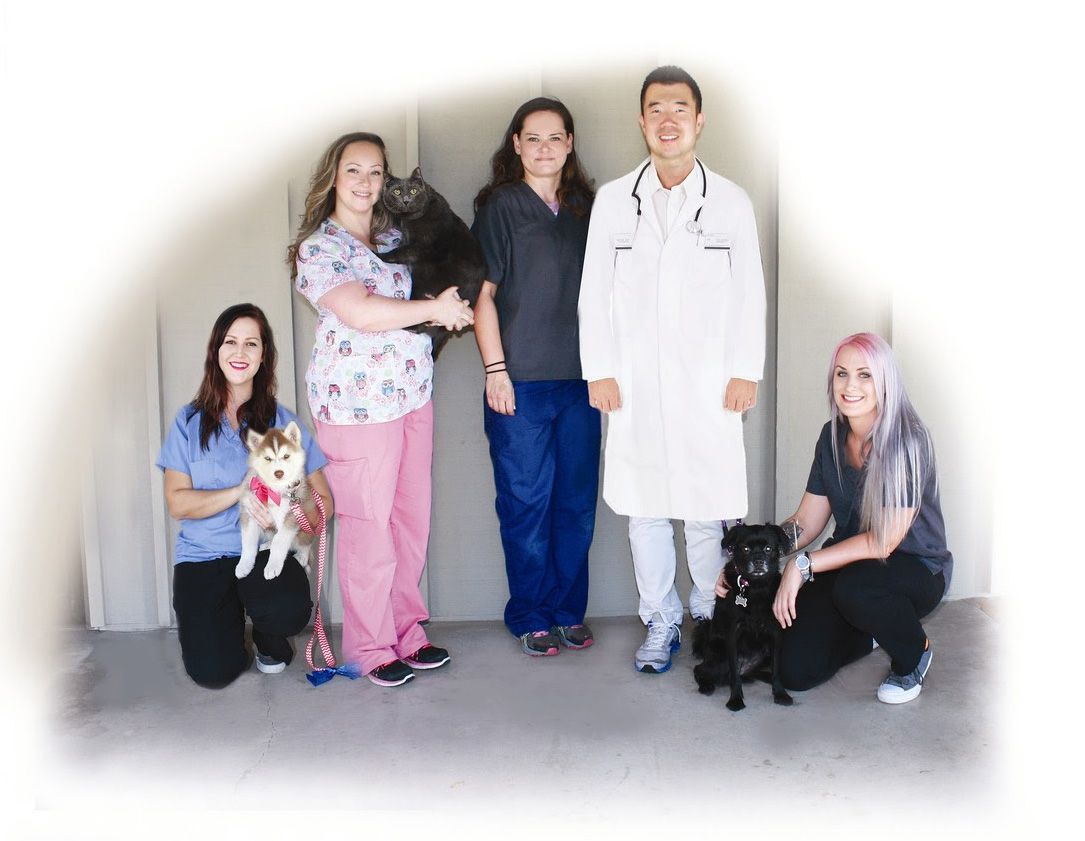 rancho bernardo veterinary clinic