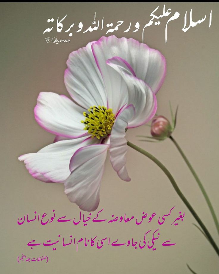 assalamualaikum images with quotes in urdu