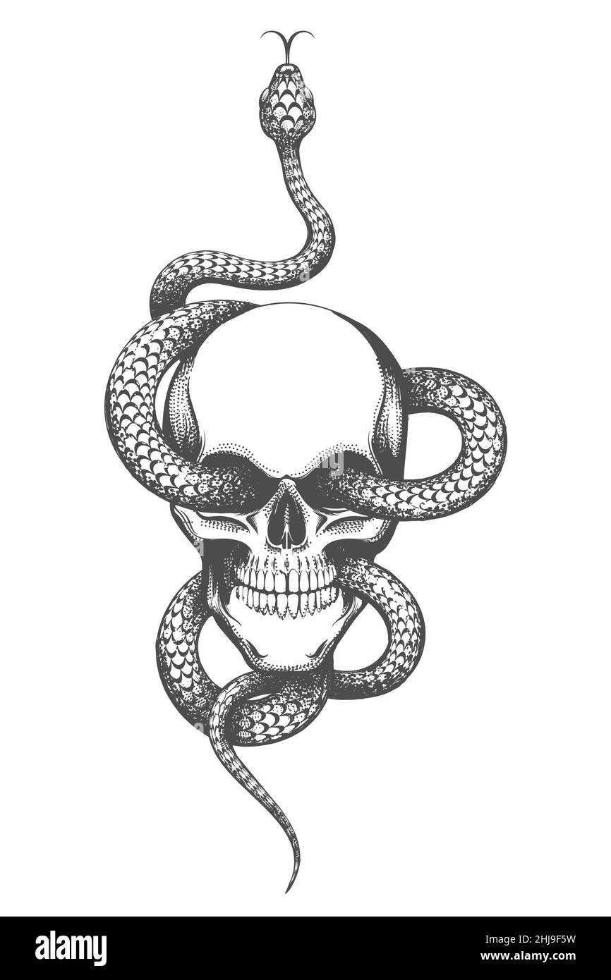 calavera con serpiente dibujo