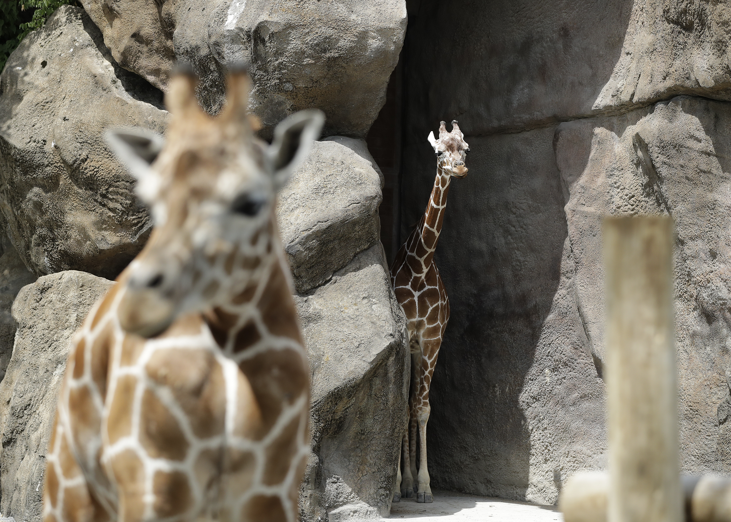 weather at philadelphia zoo