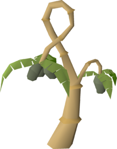 osrs calquat fruit